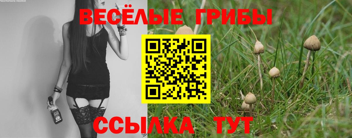 Галлюциногенные грибы GOLDEN TEACHER Люберцы